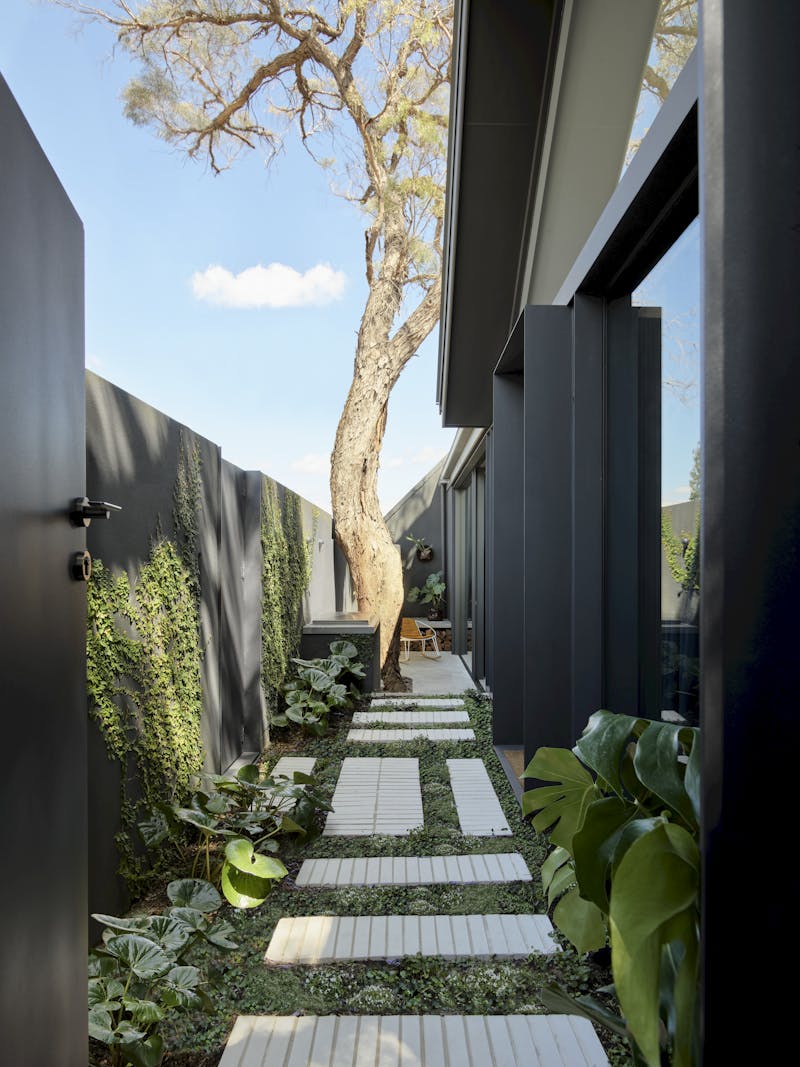 Photo of garden courtyard of Mitchell house in Mosman by Those Architects