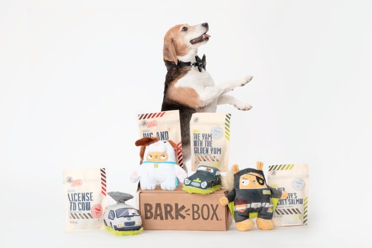 A beagle wearing a bowtie posing in front of a collection of dog toys and treats.