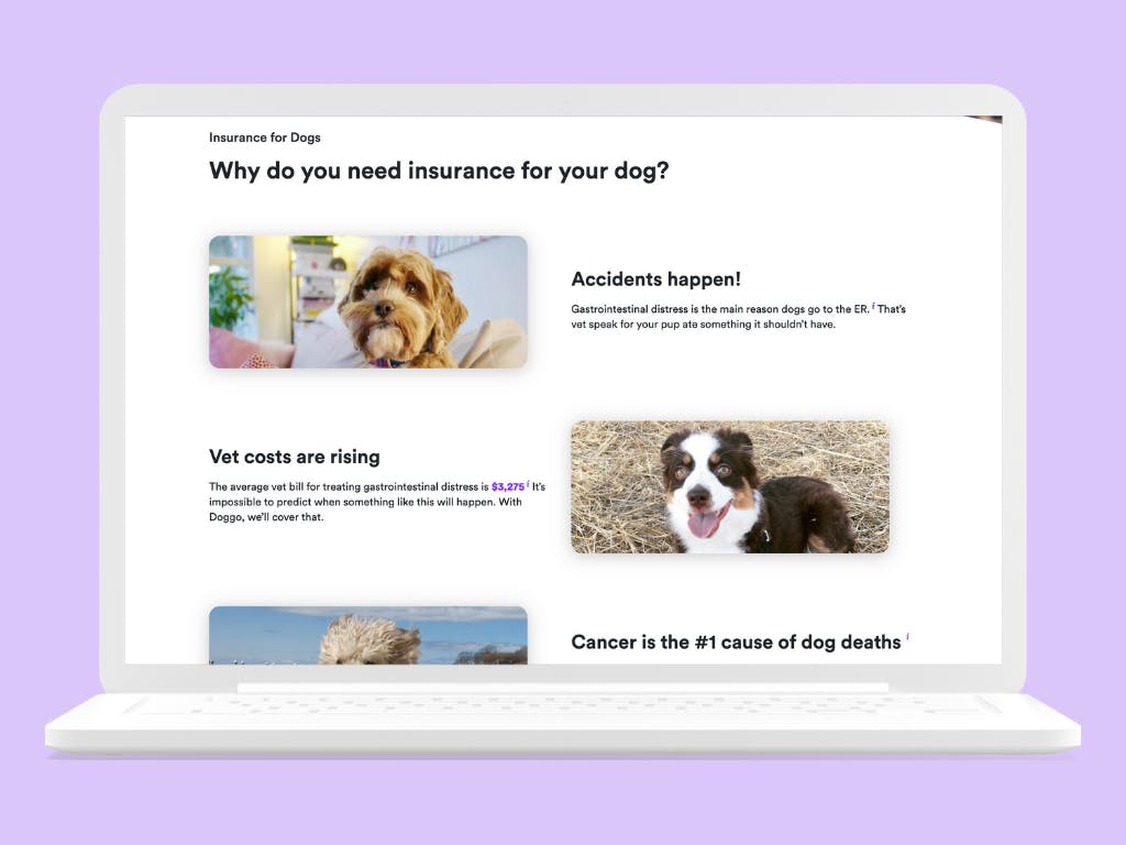Image of Doggo's webpage on an open laptop on lavender background
