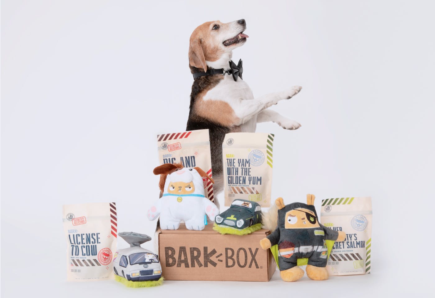 A beagle dog smiling with Bark Box products arranged in front of it.