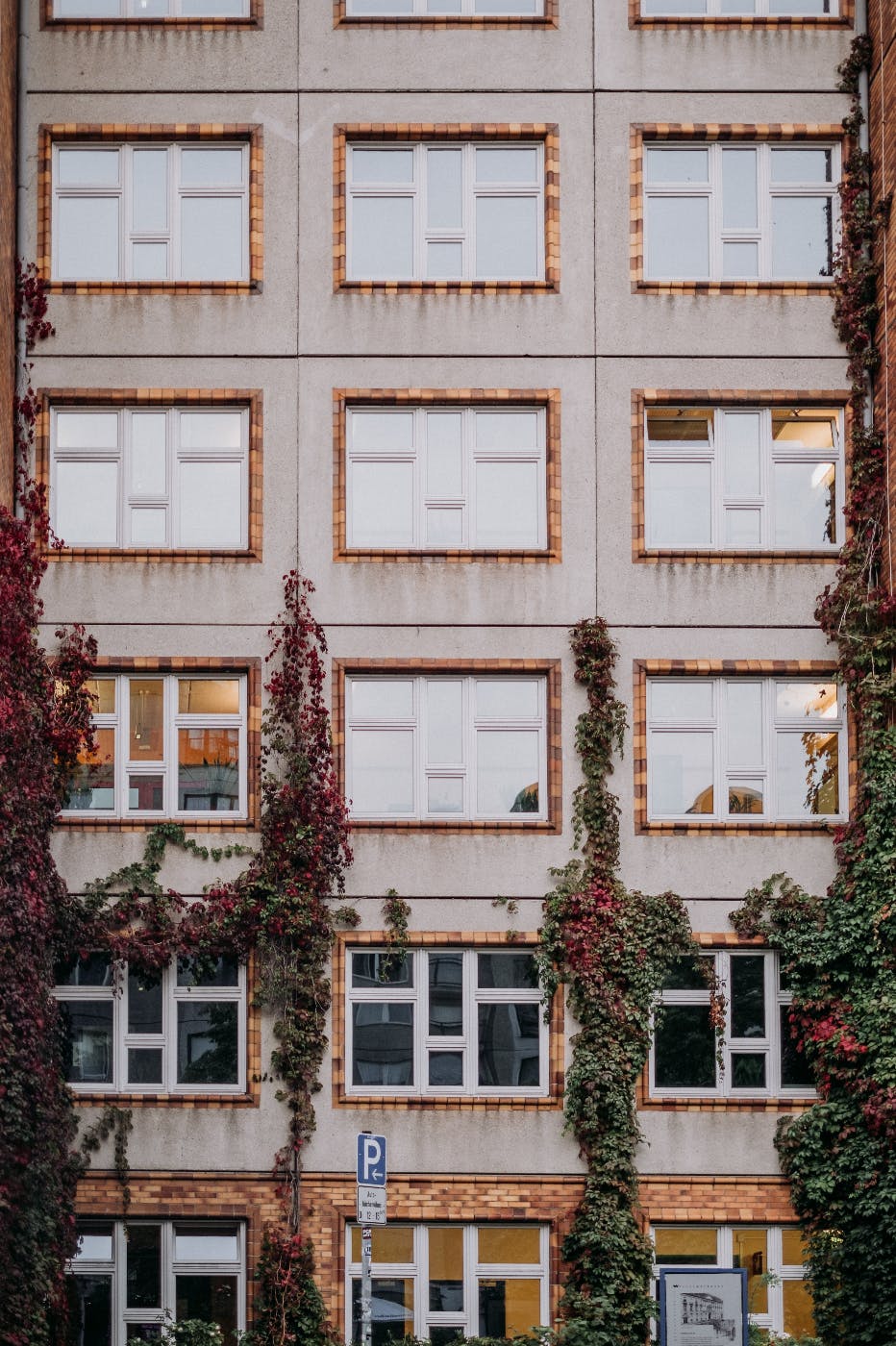 Rows of identical windows on an apartment building