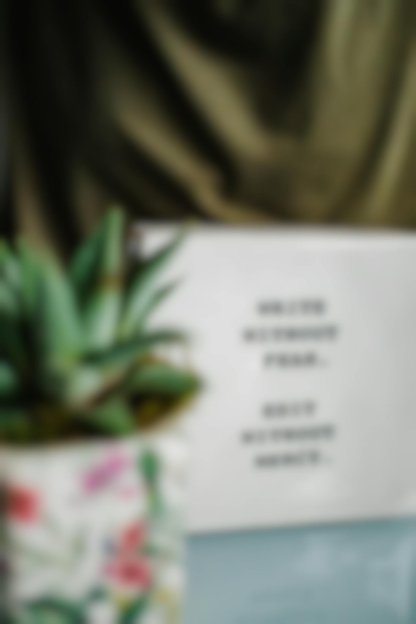 a white block with the words: write without fear. Edit without mercy.
