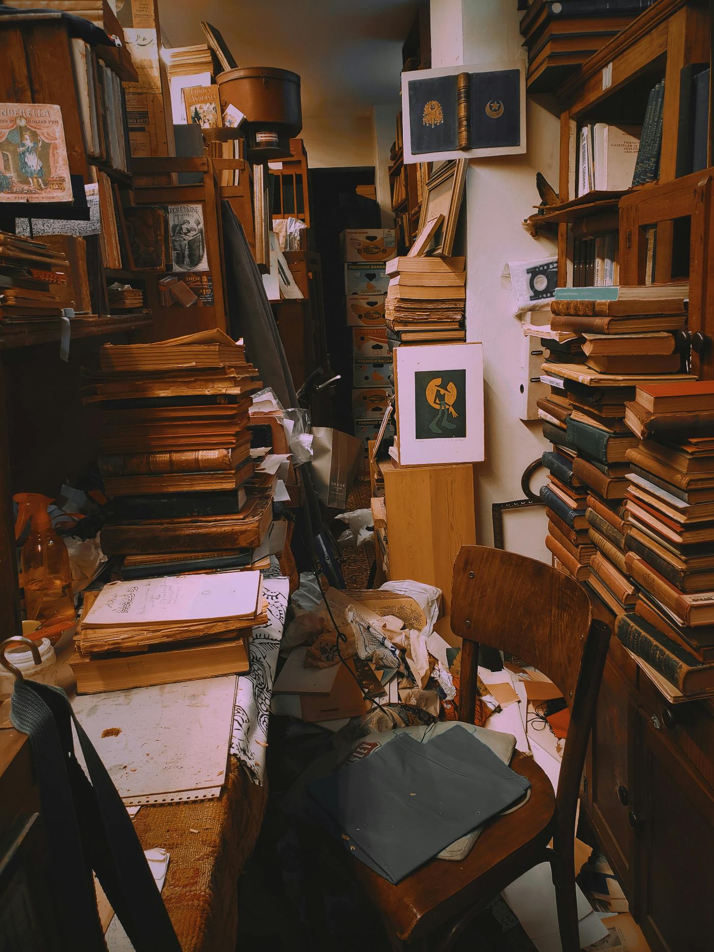 an office cluttered with books and papers everywhere.