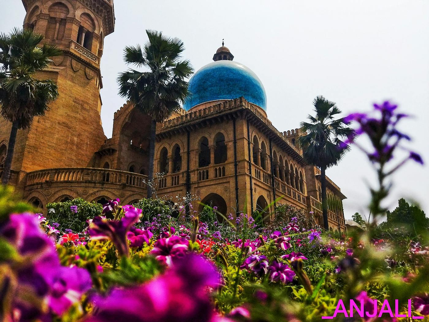 A huge house with a blue dome and flowers in the foreground