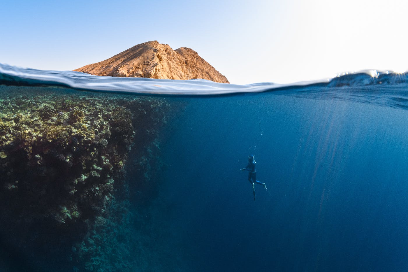 A diver in the ocean near a reef