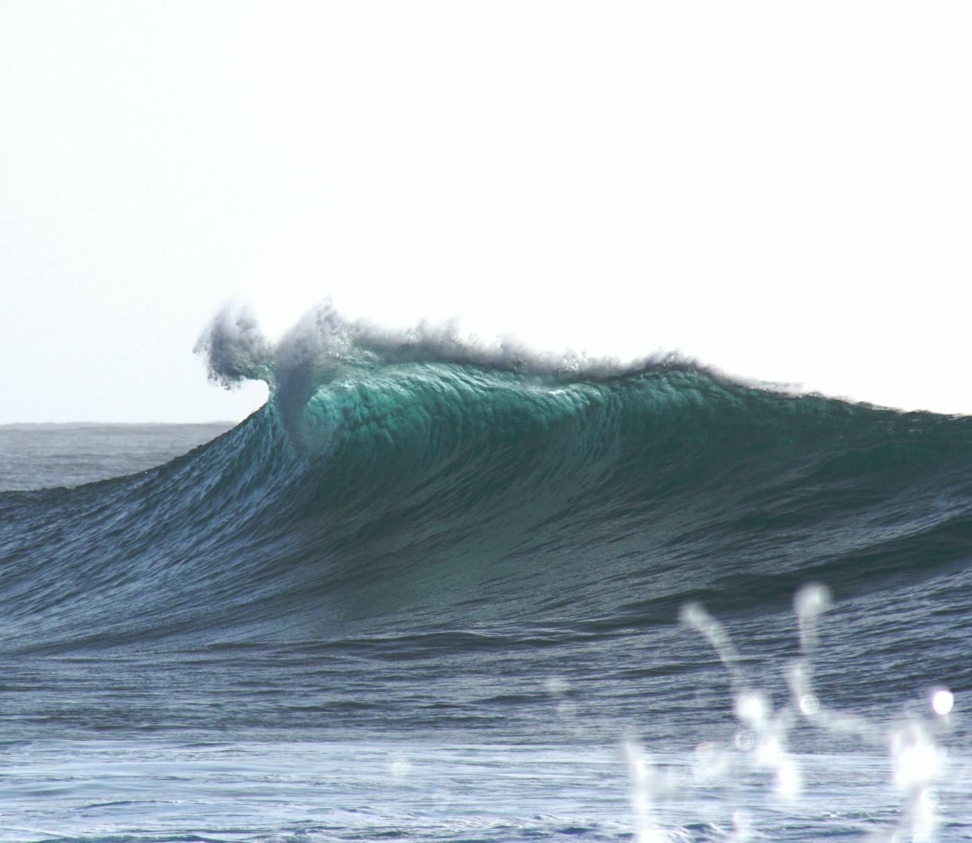 an ocean wave