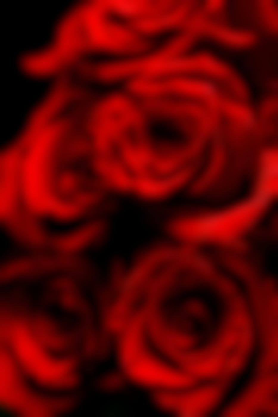 A close up of red roses