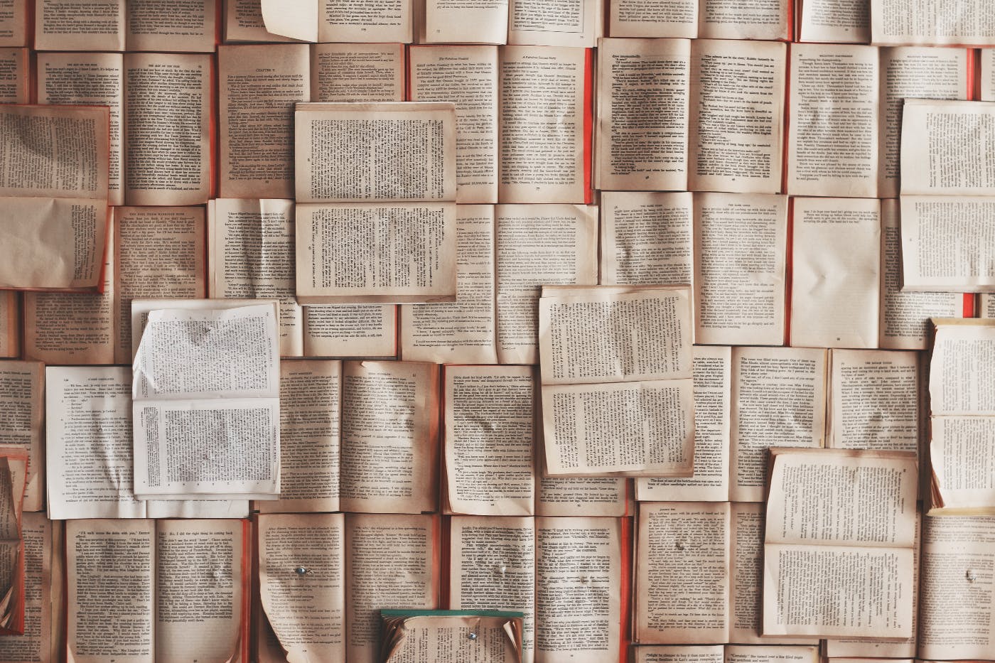 Hundreds of open books pinned to a wall