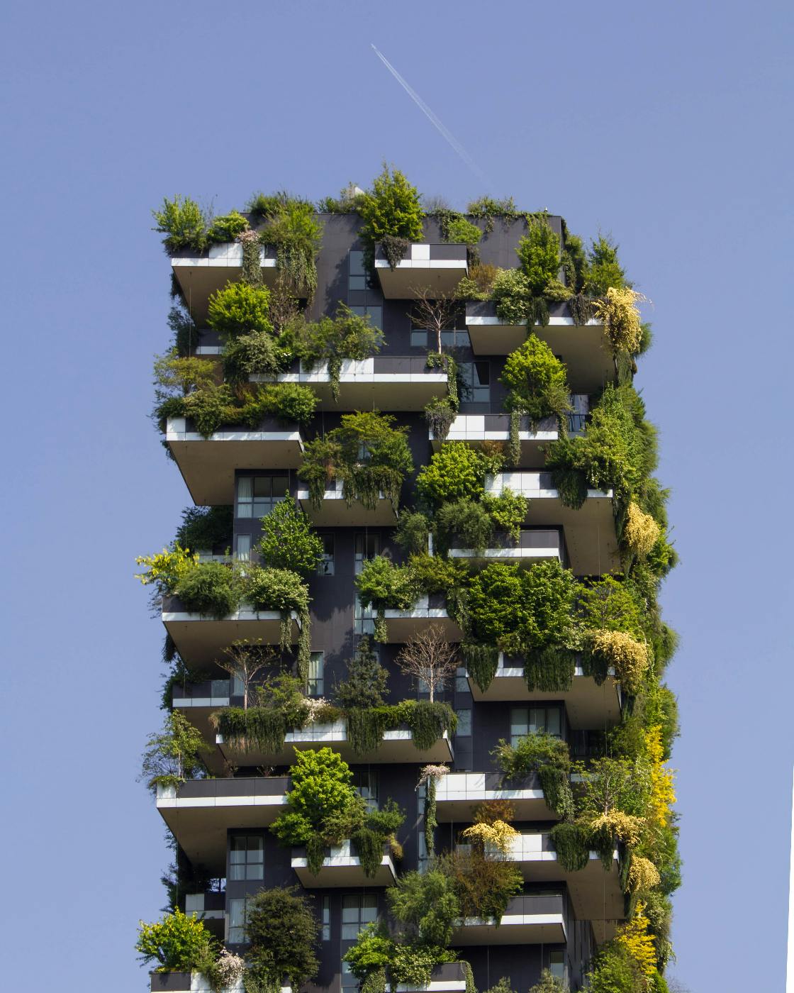 An apartment building that is covered with trees and plants