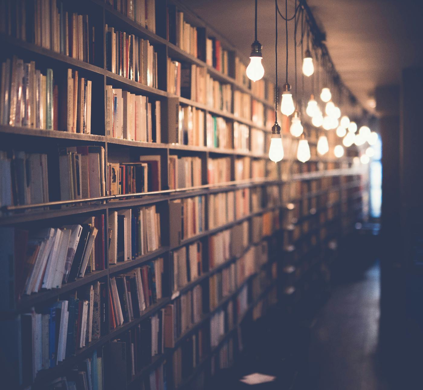 Shelves of books illuminated by a row of hanging bulbs