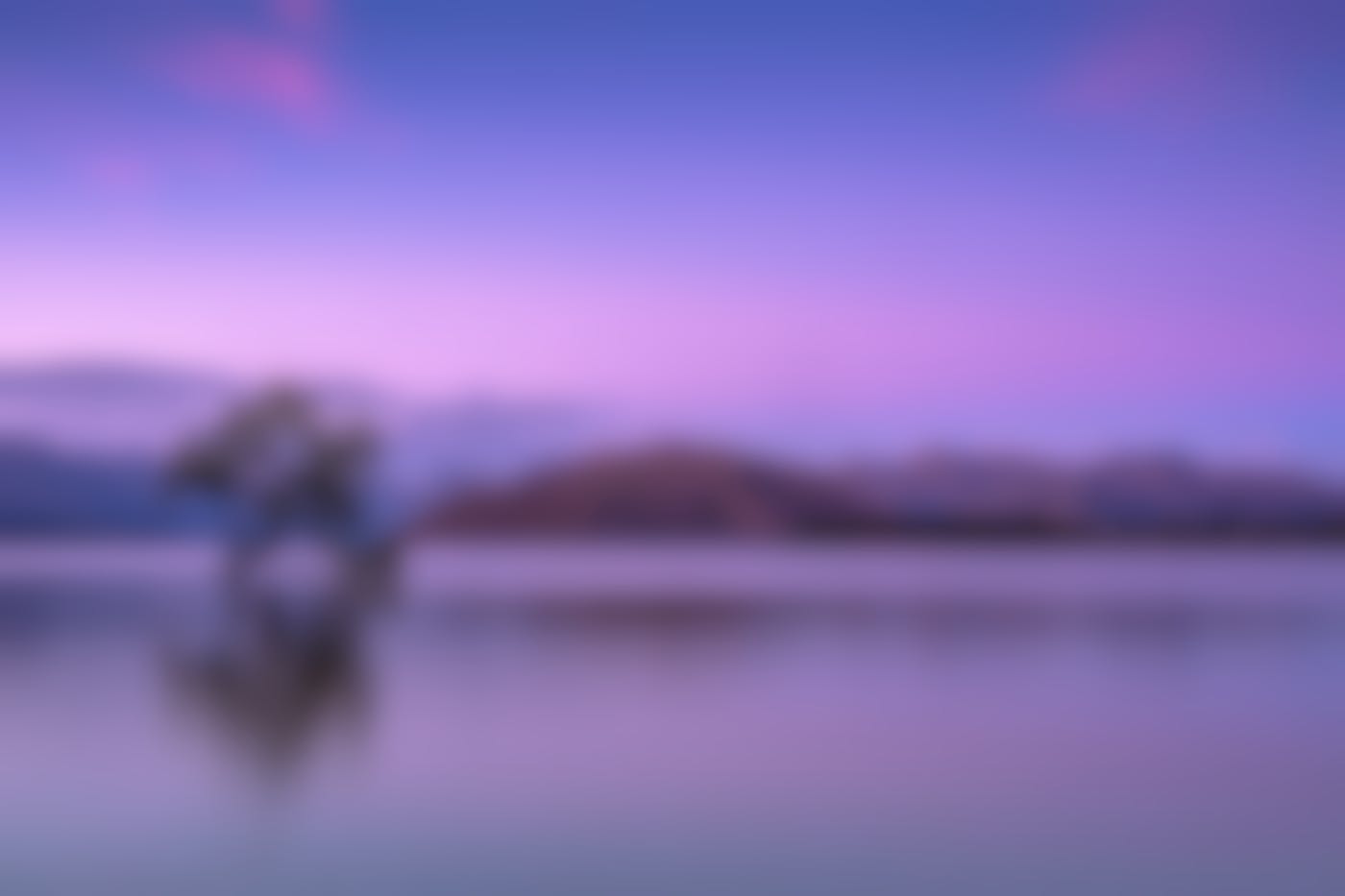 a tree growing from a lake with a sky tinged with purple and blue