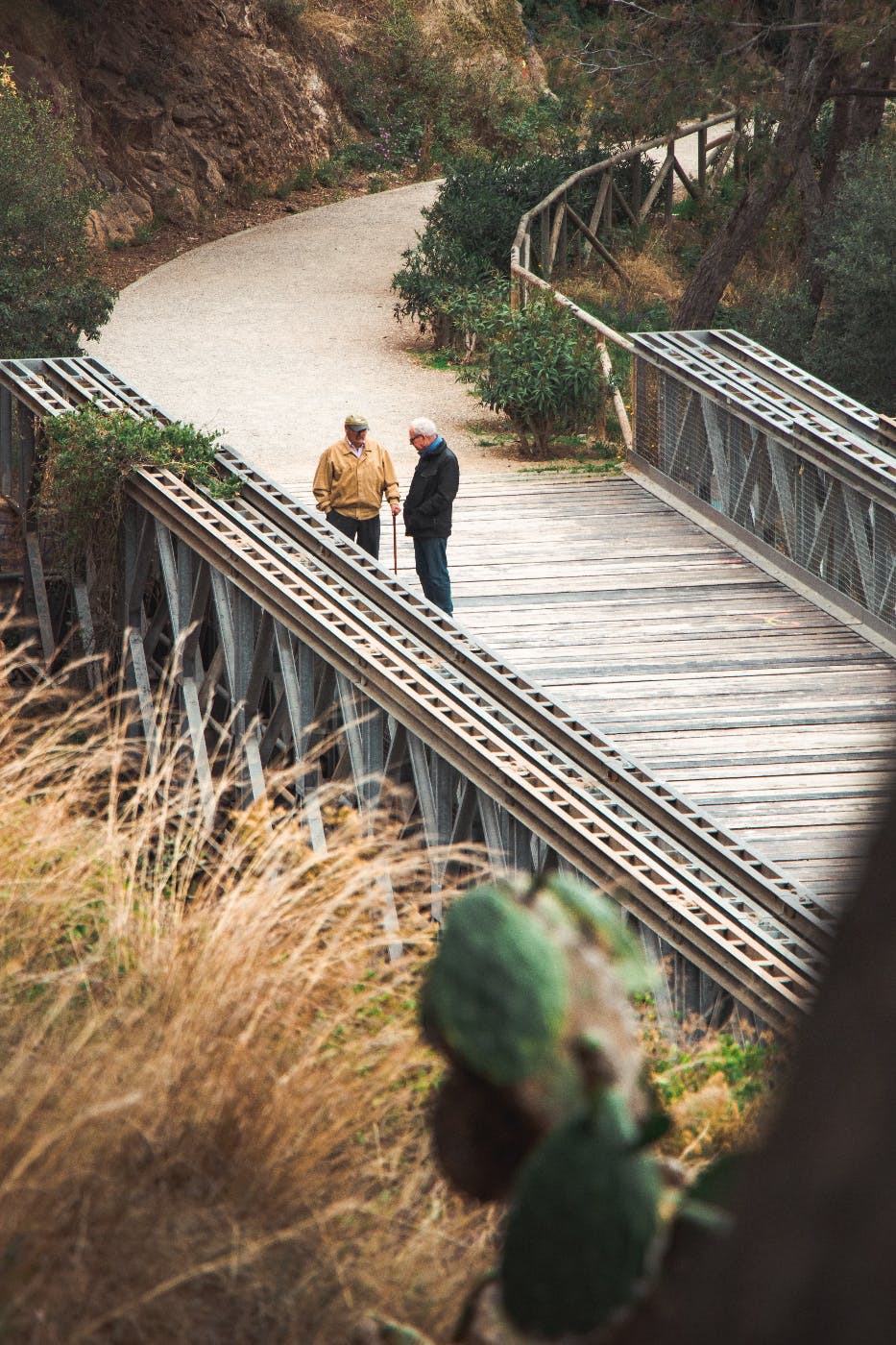 Two older me standing on a bridge having a conversation.