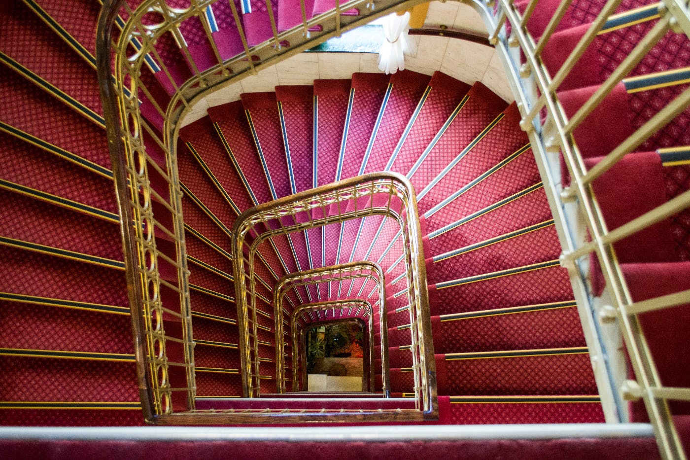 An above view of a spiral staircase with red carpeting and a white dove sitting on the window sill of the floor below