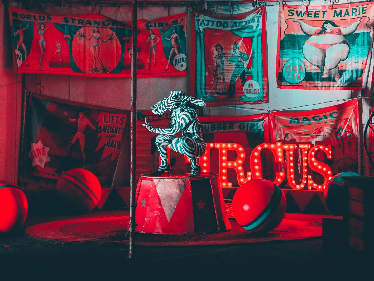 a circus ring in reds and blues with a woman in a surreal zebra costume at center