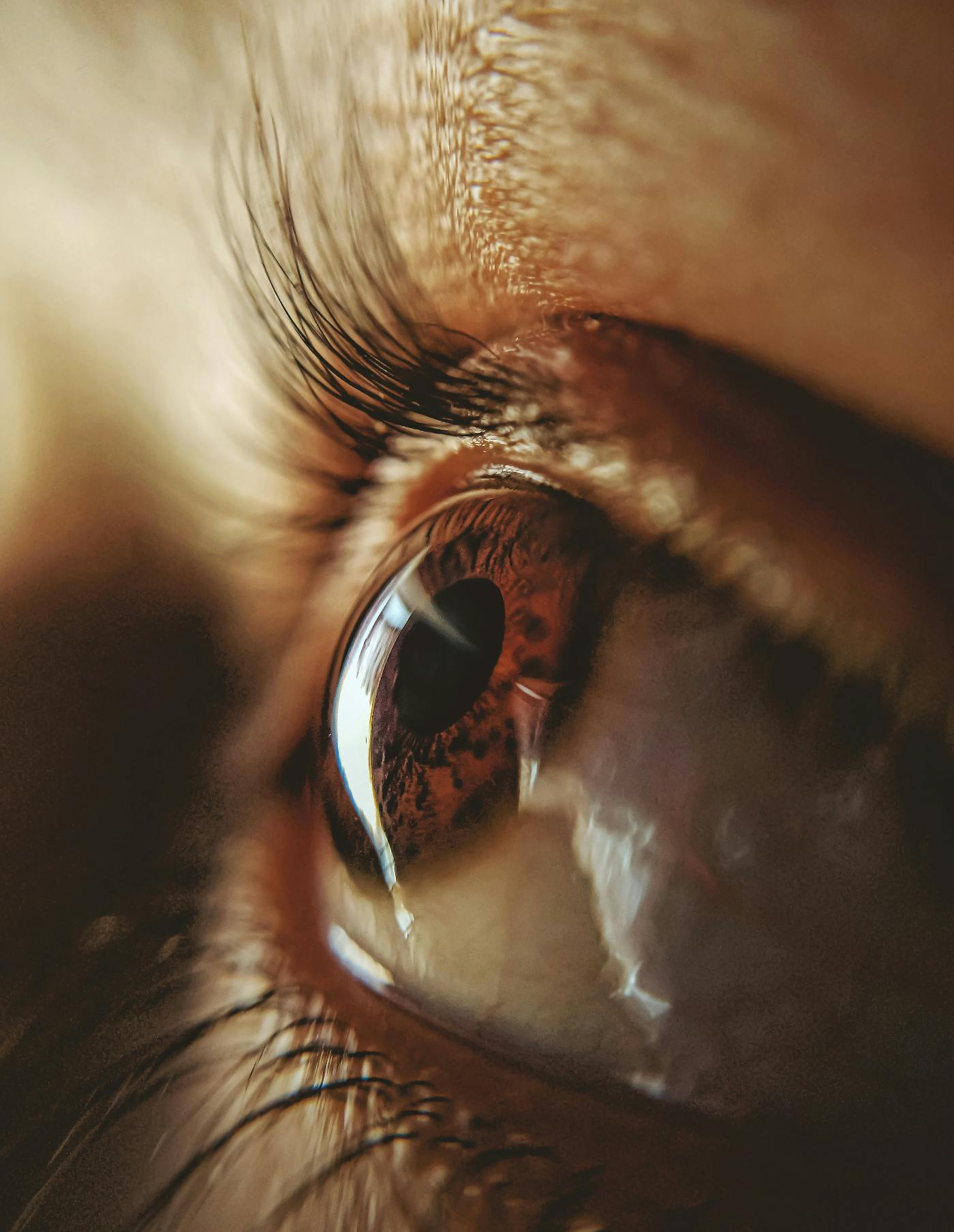 An extreme close up of a woman's eye