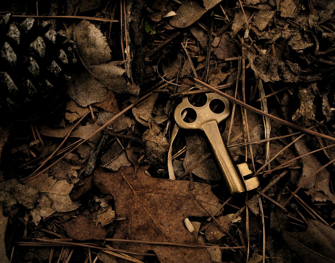 A sepia toned picture of a skeleton key sitting among dry leaves, sticks, and pine cones