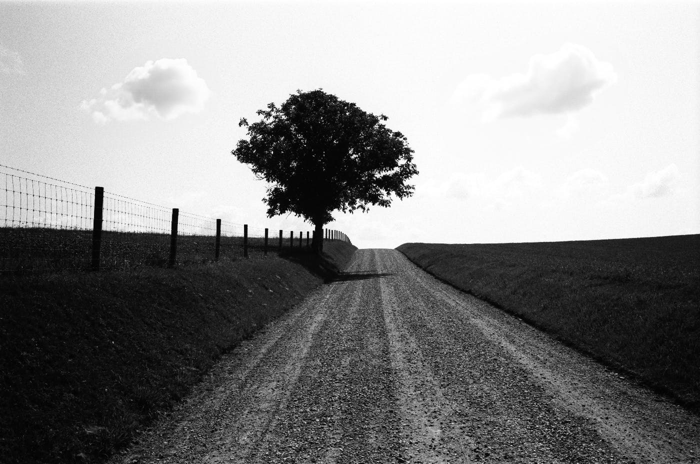 A grey scale image of an empty country road, a single tree and a wore fence on the left