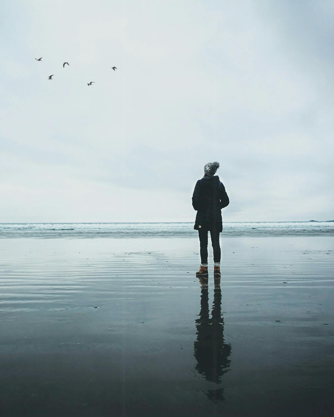 A woman in a coat and hat, standing on a wet beach at low tide, watching birds fly