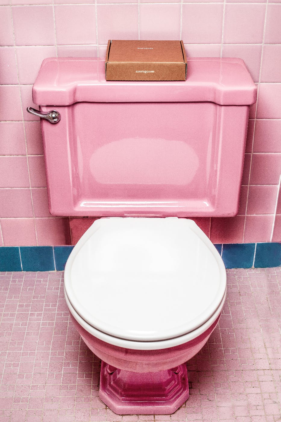 A pink toilet