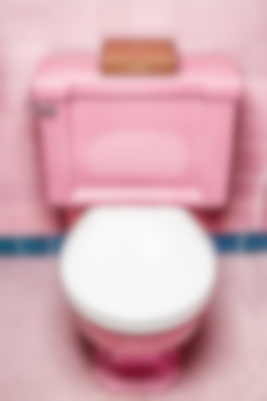 A pink toilet