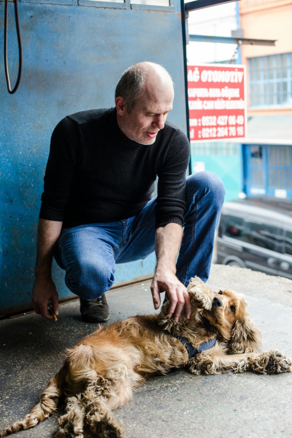 A man playing with a dog