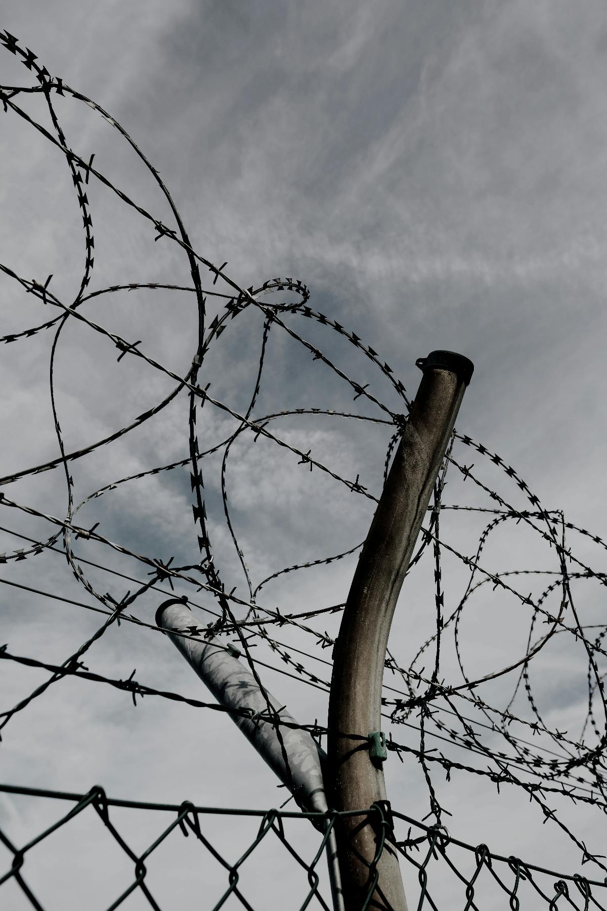 barbed wire on a fence