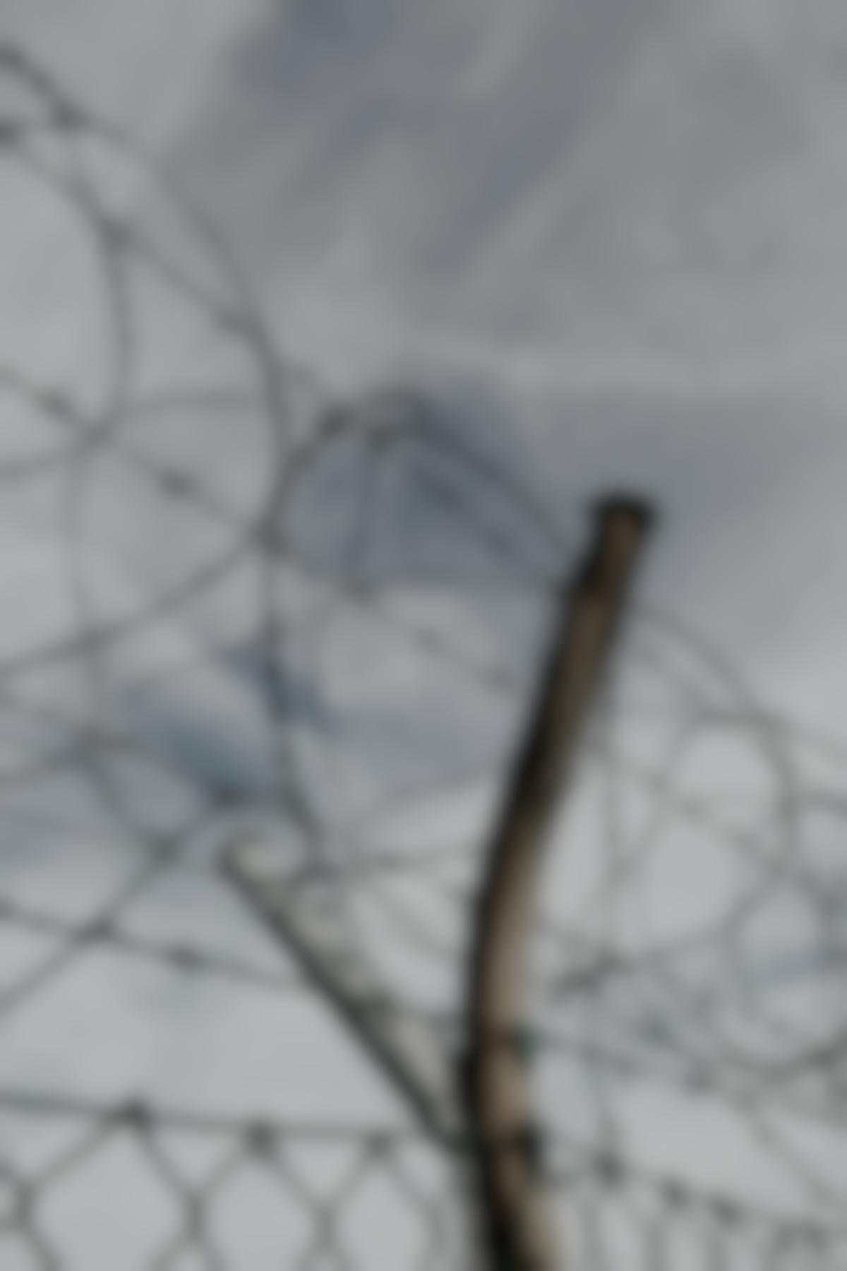 barbed wire on a fence