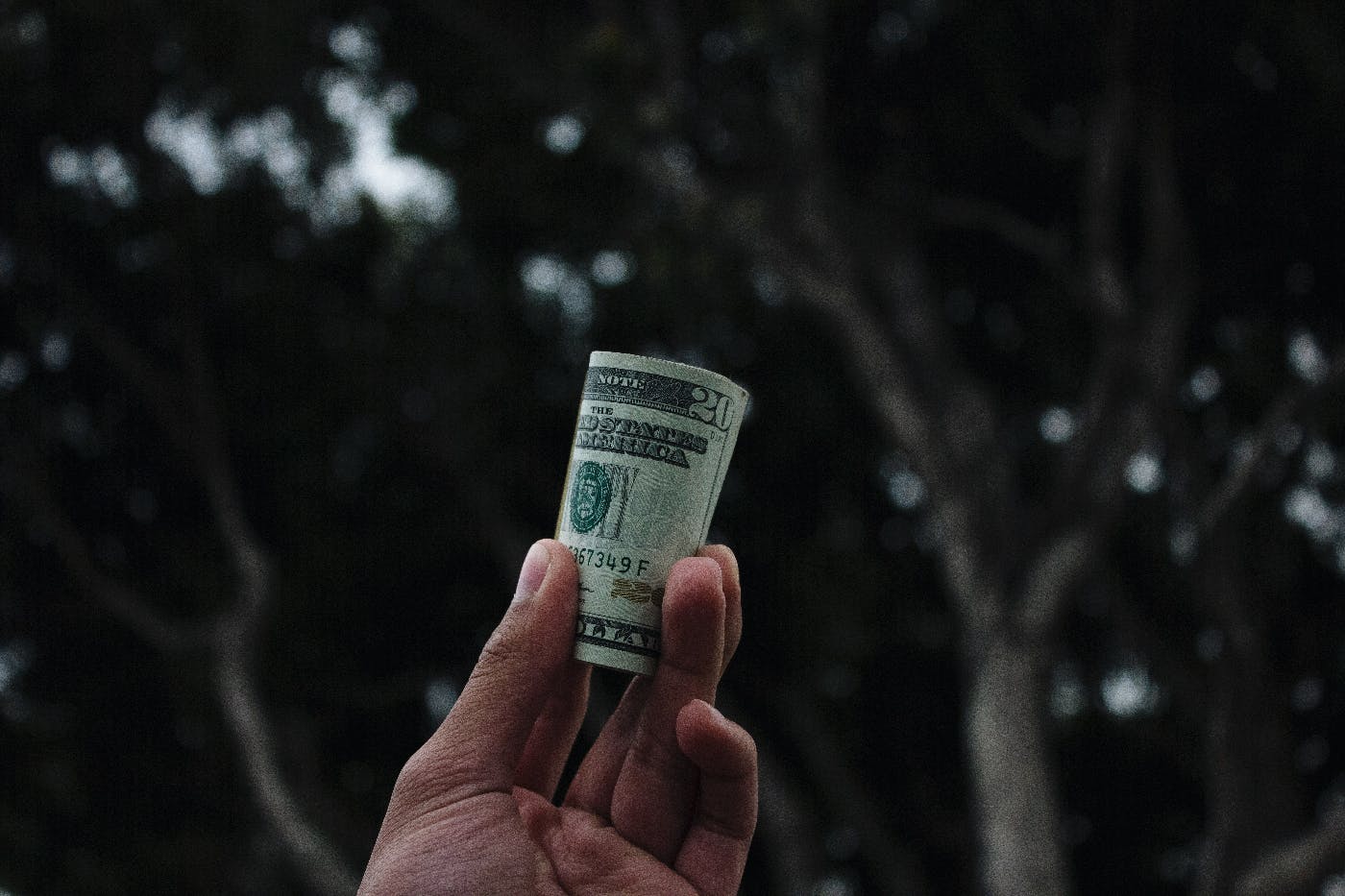 A hand holding a roll of 20s with trees in the background