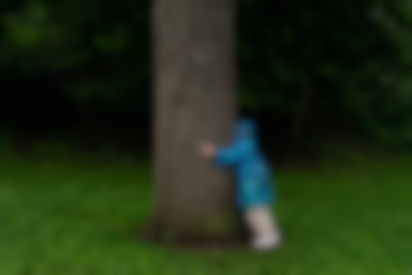 A person in a blue raincoat hugging a tree