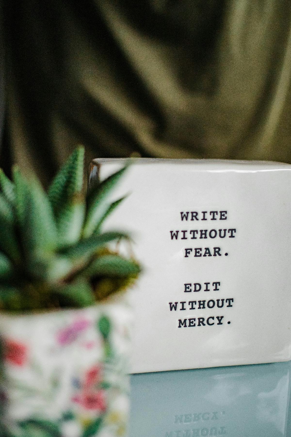 a cube on a desk behind an aloe plant, on the cube is written Write Without Fear. Edit Without Mercy.