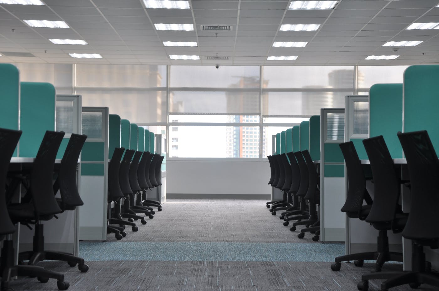 a row on empty office cubicles