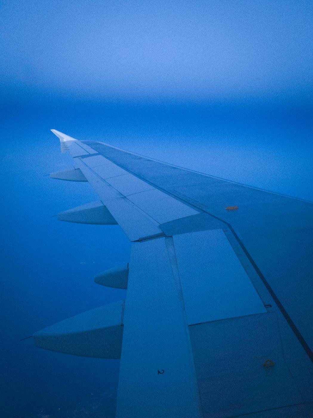 Wing of a jet