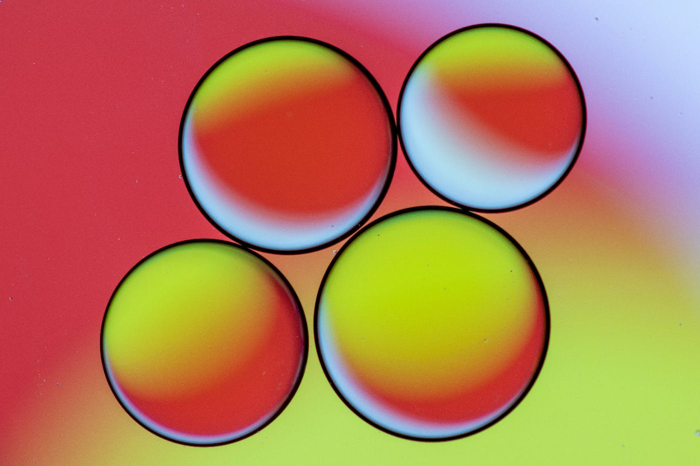 four circles filled with Newtonian fluids