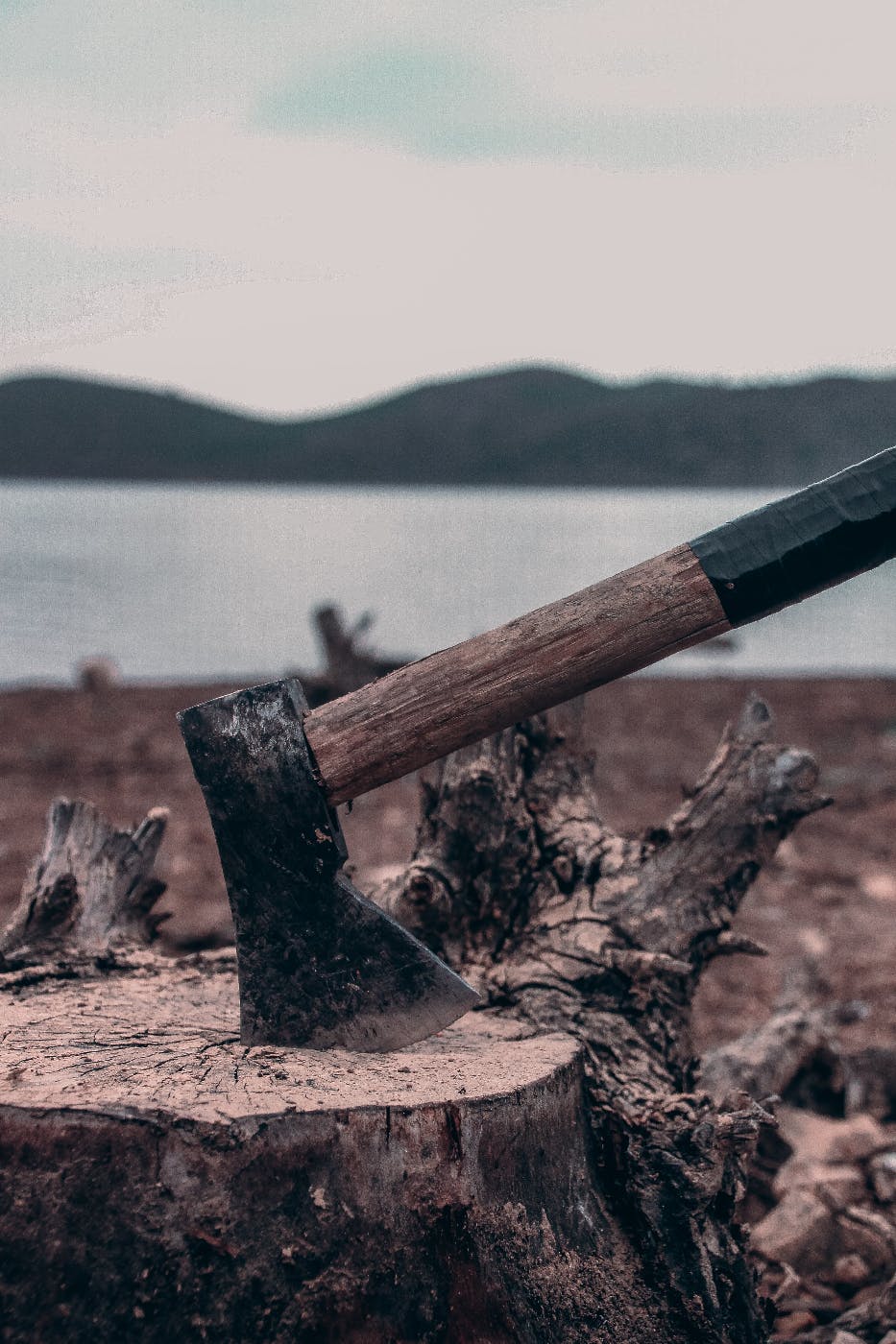 an axe stuck in a tree stump