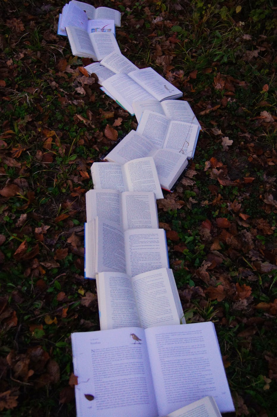 a path on the ground made from open books