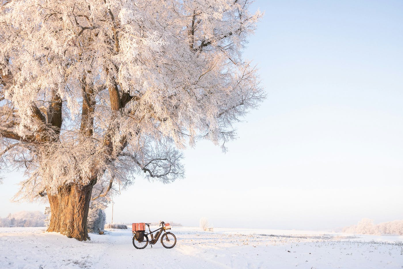 A bicycle parked by a snow covered tree near a snow covered field