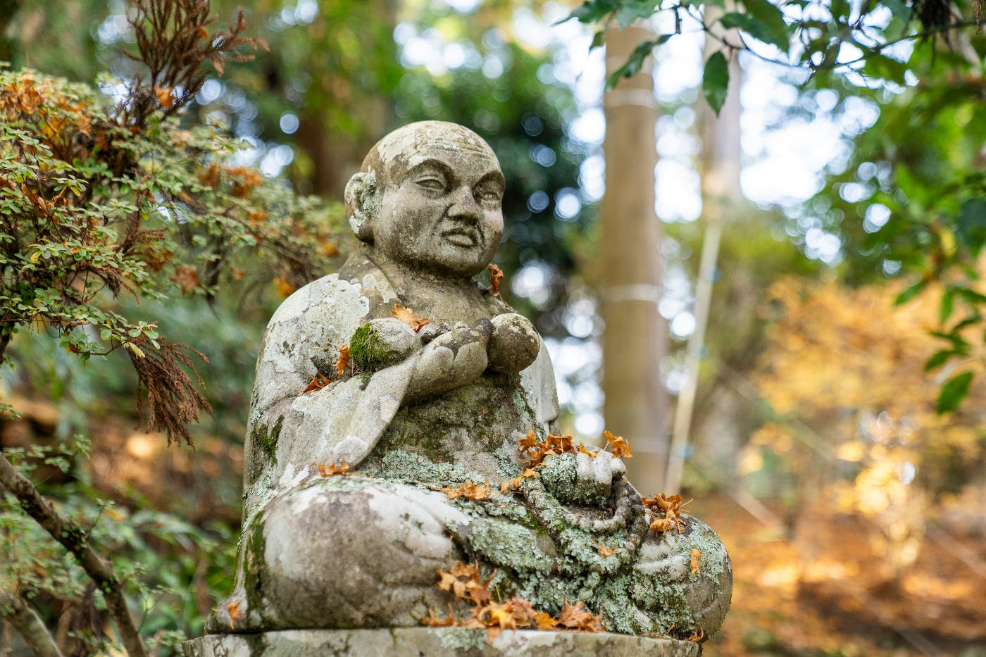 A weathered, moss and leave covered statue of a sitting Buddha in the forest