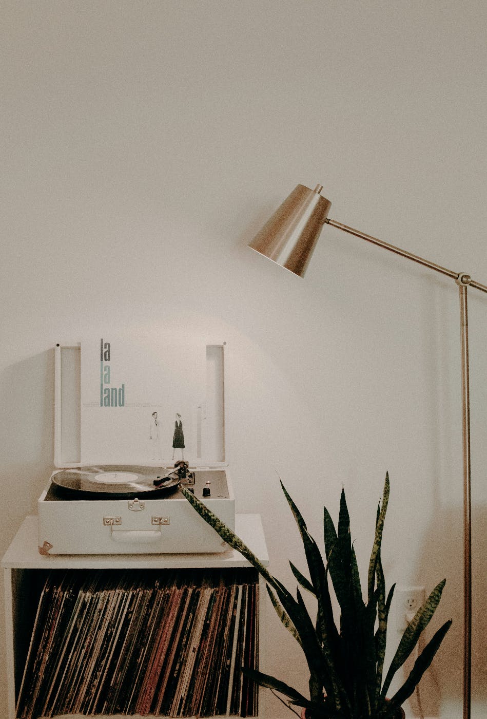 A lamp over a turn table on top of a cabinet full of albums beside a plant