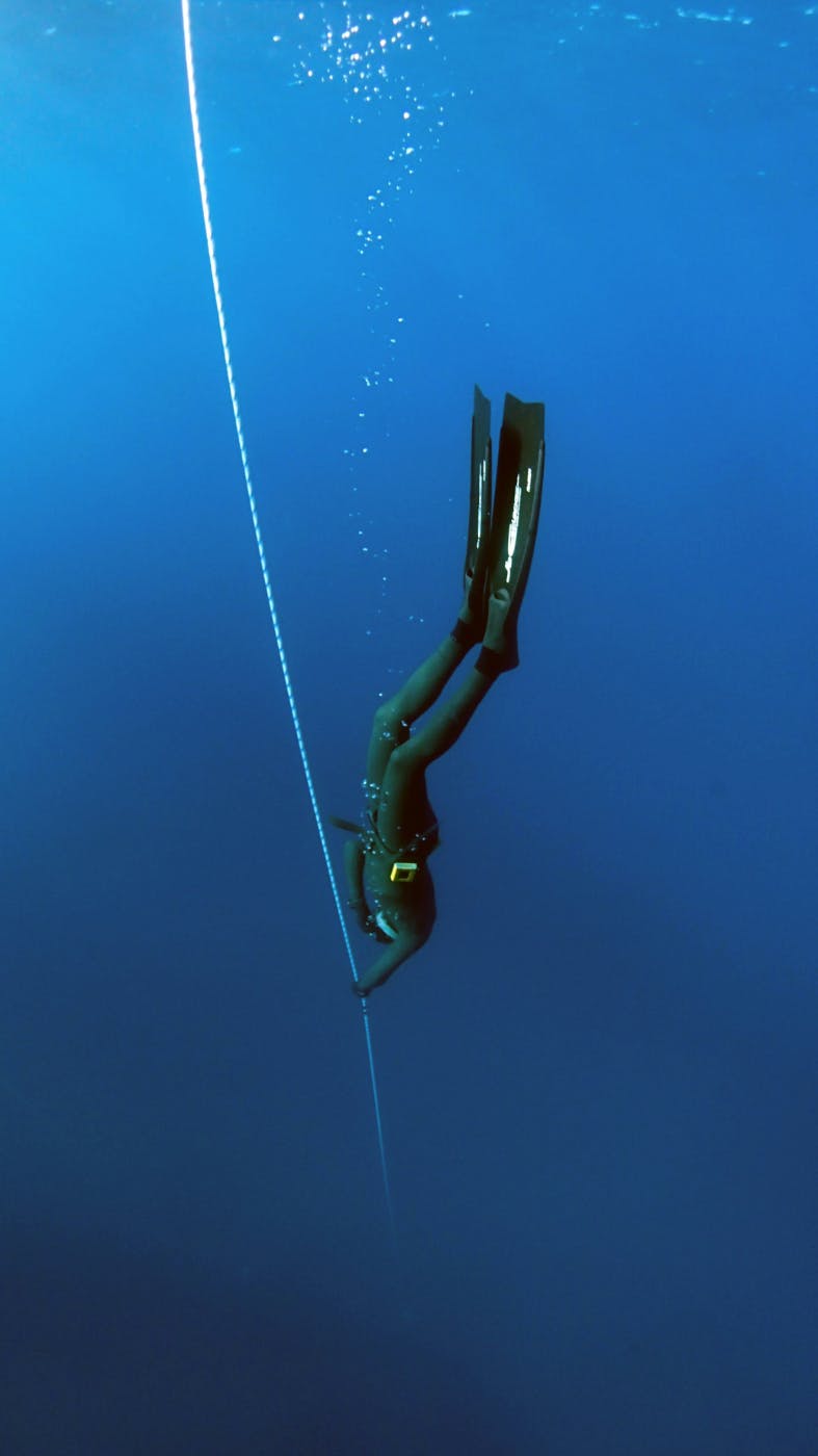 A free diver in a wet suit holding a line and descending