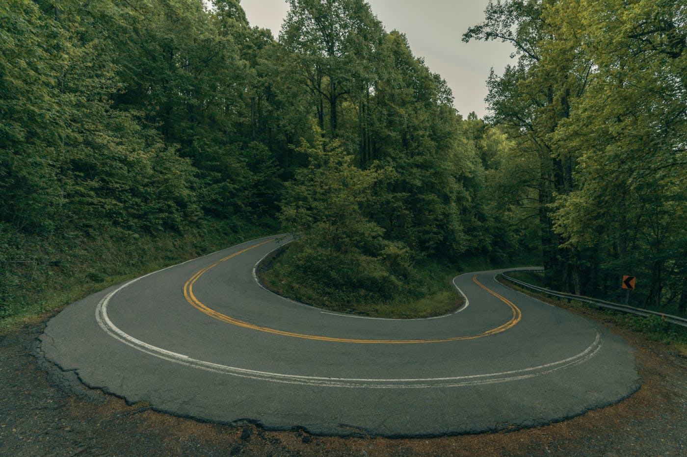 A tight turn in a road through a wooded area