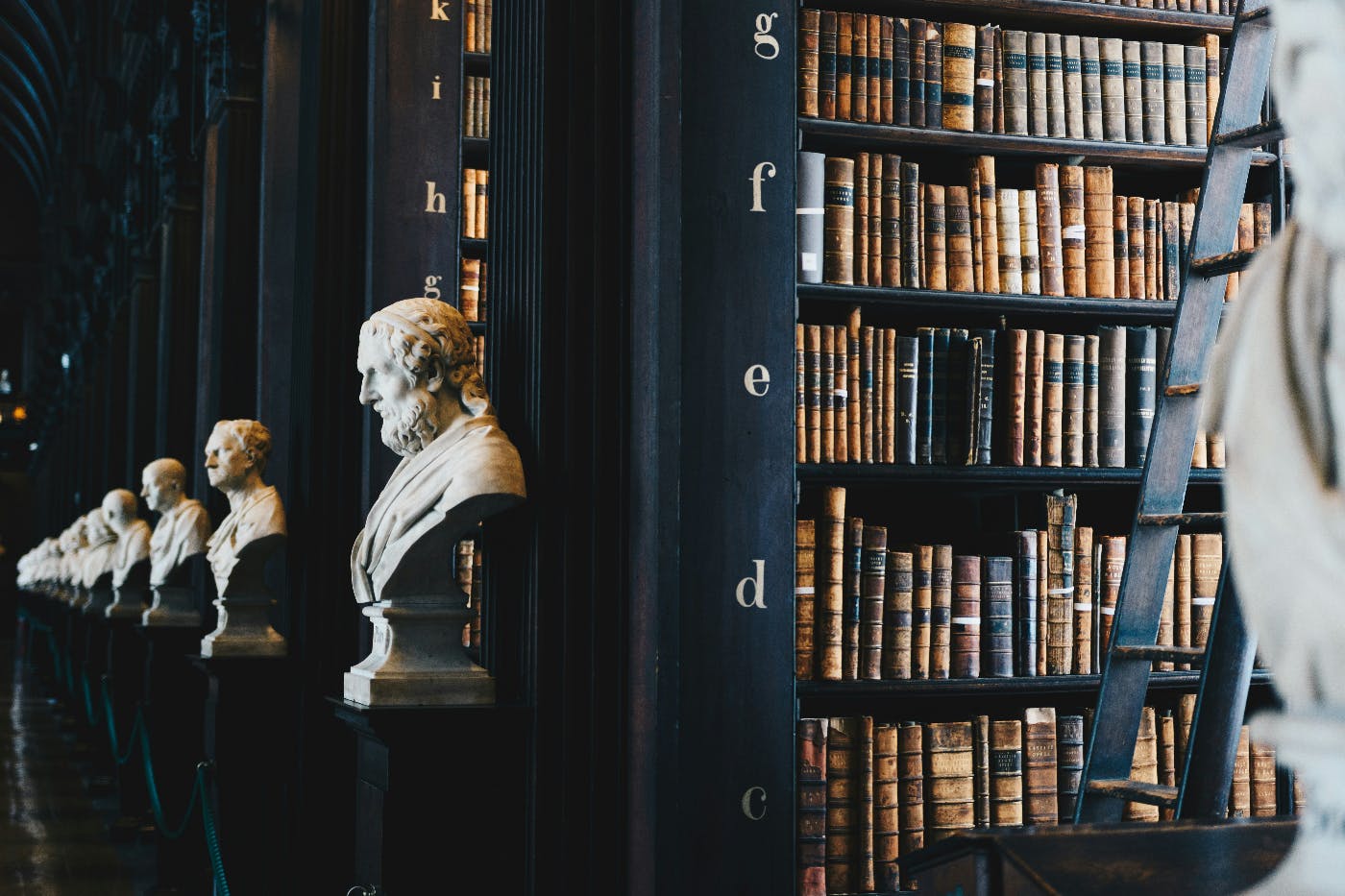 Library shelves with busts of great thinkers at each shelf