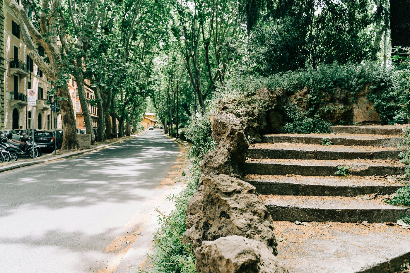 A stone staircase beside a tree lined road