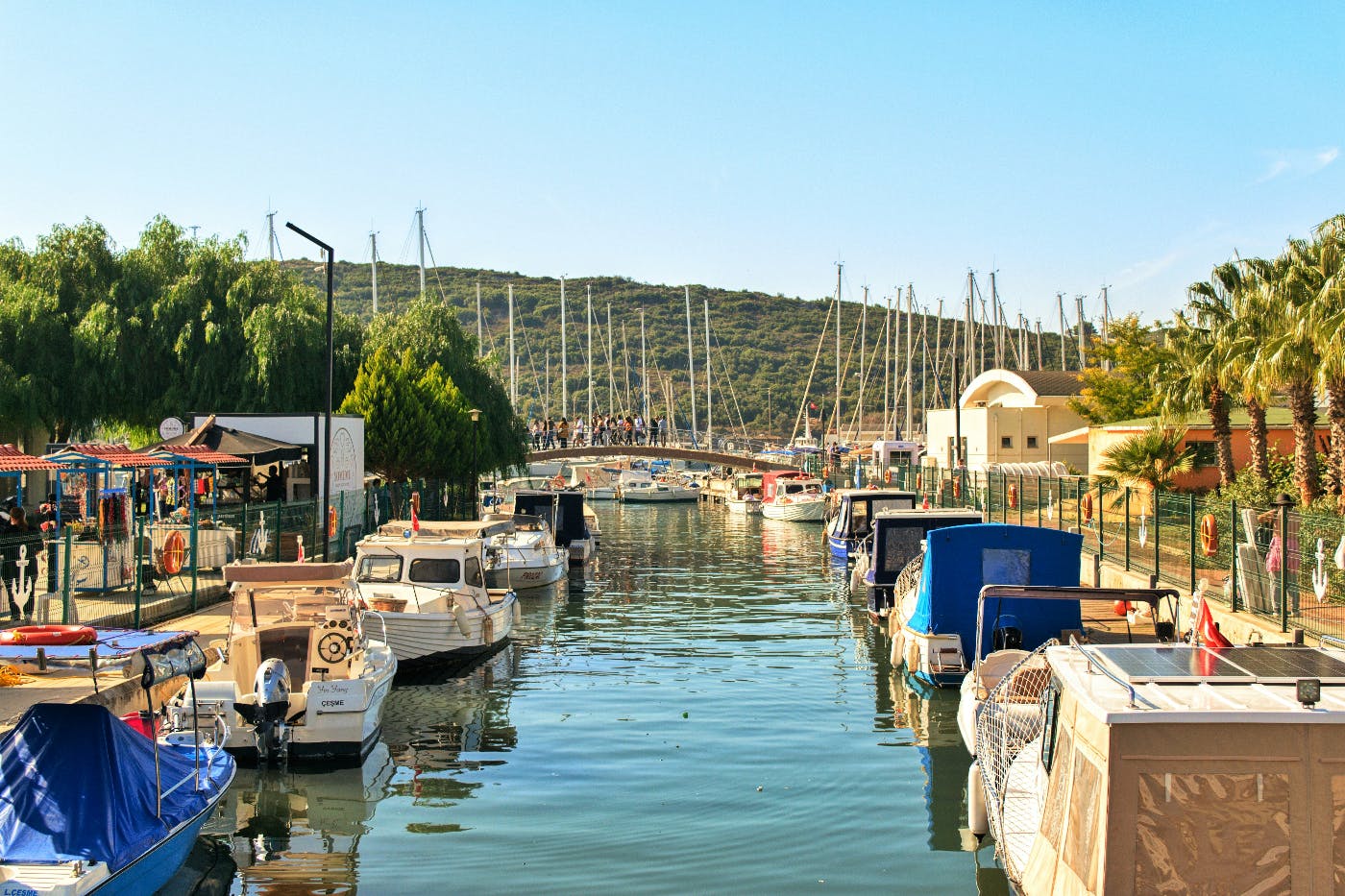 A sunny boat dock in a tropical place