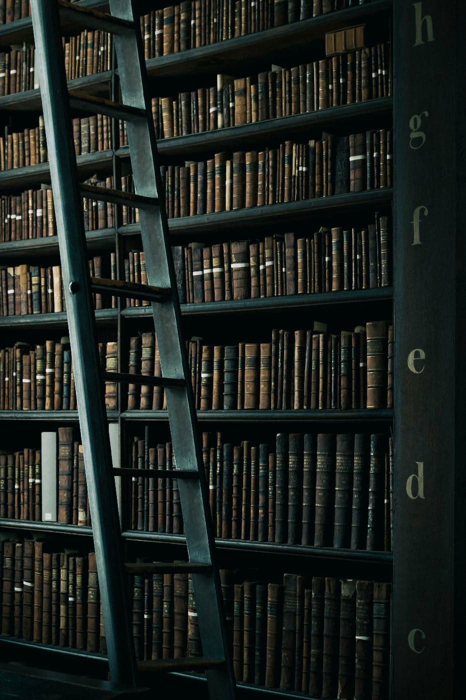 Books shelves in a library and a ladder
