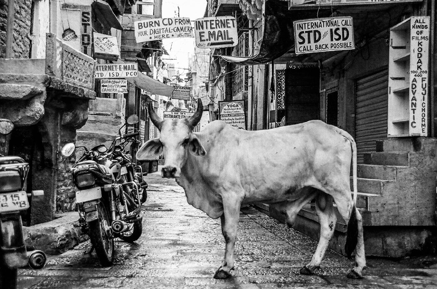 A Brahma bull standing in a stone side street next to a motorcycle