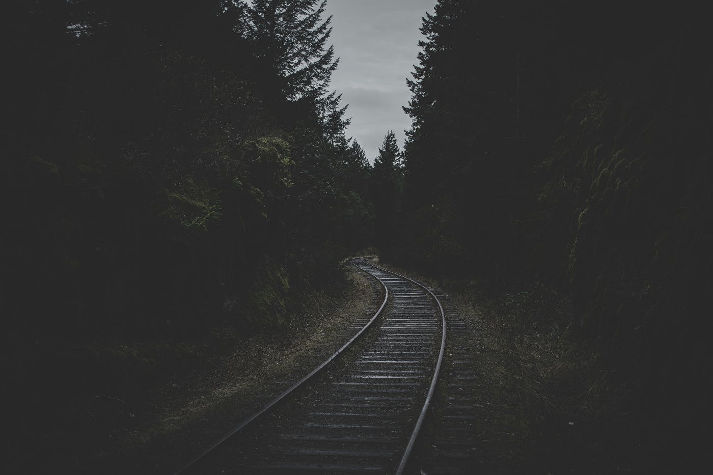 train tracks bending off into the trees