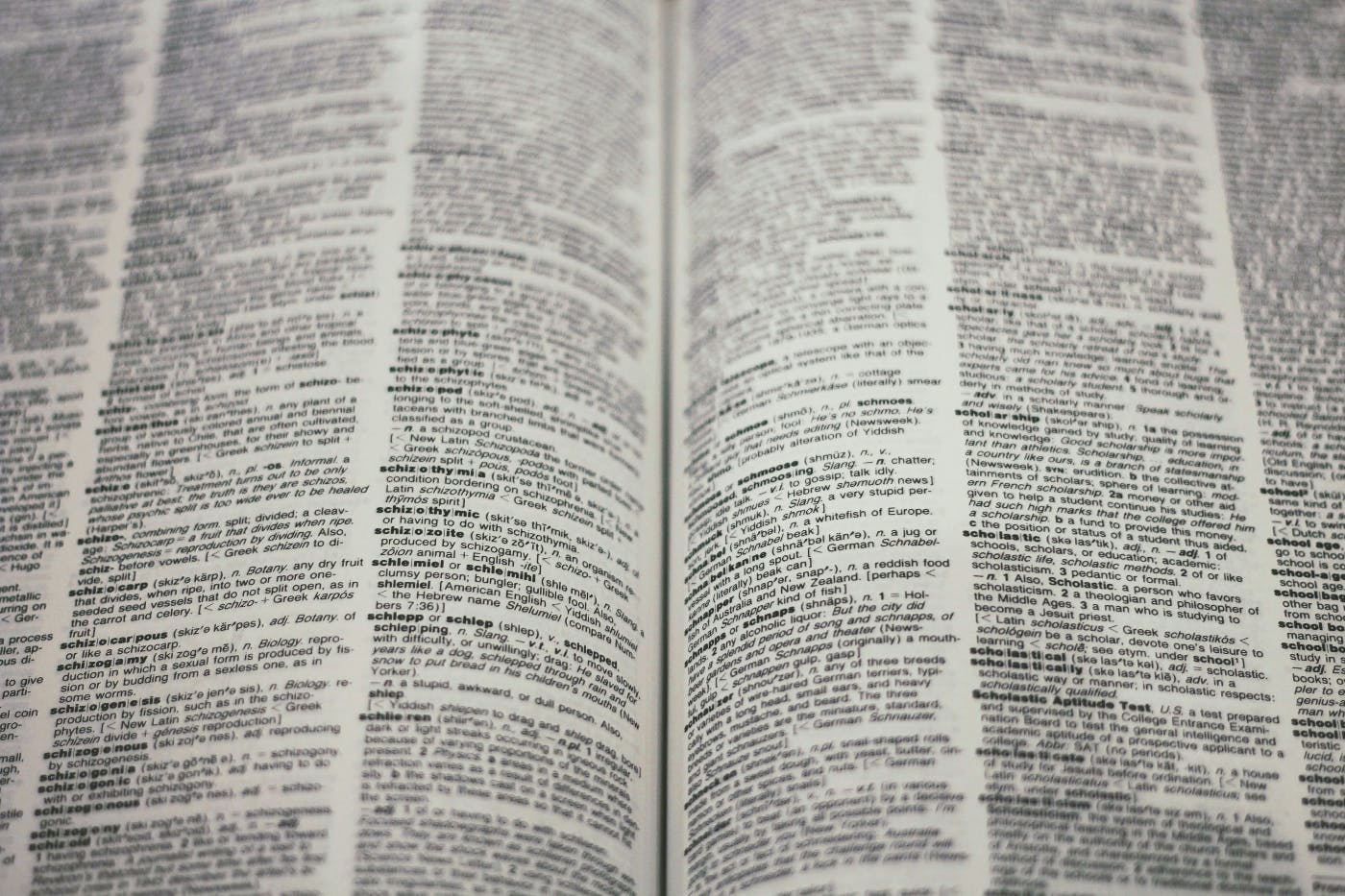 pages in an open dictionary