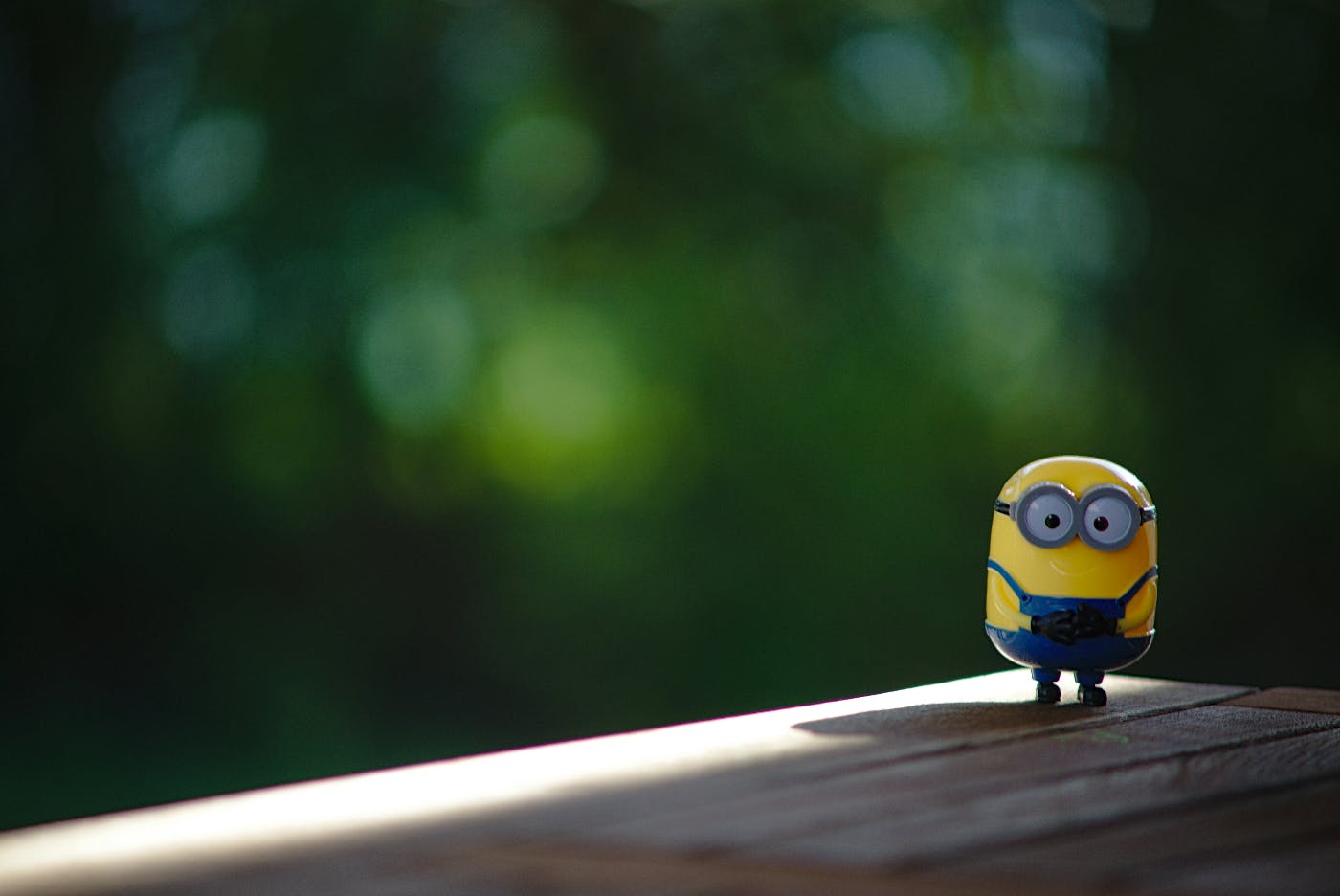 Bob, the Minion, standing on a shelf