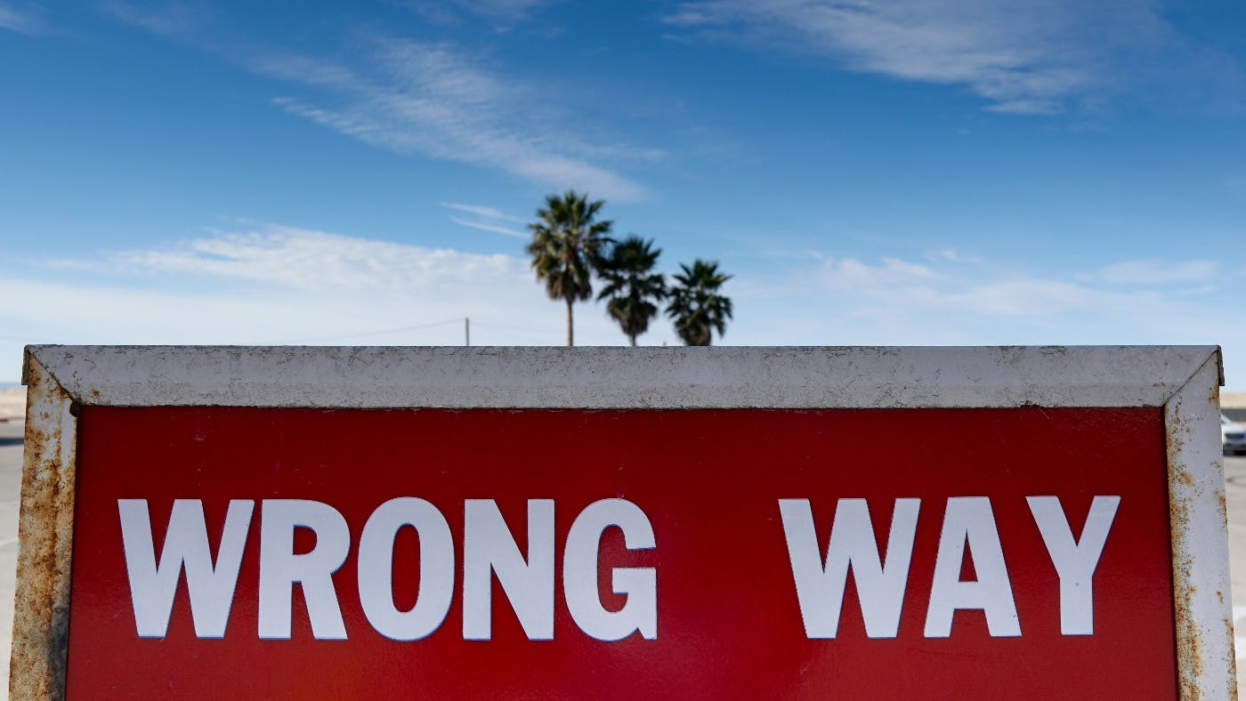 3 palm trees seen above a red sign reading Wrong Way