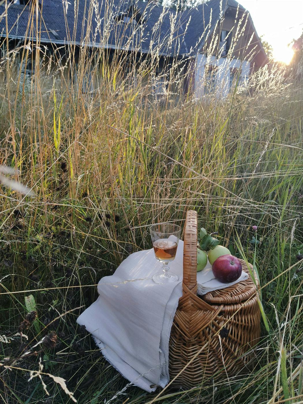 A picnic hamper in a field with a glass of sherry, three apples and a white cloth on it